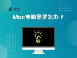 mac电脑黑屏无法开机（苹果电脑开机屏幕黑屏的原因及解决方法）