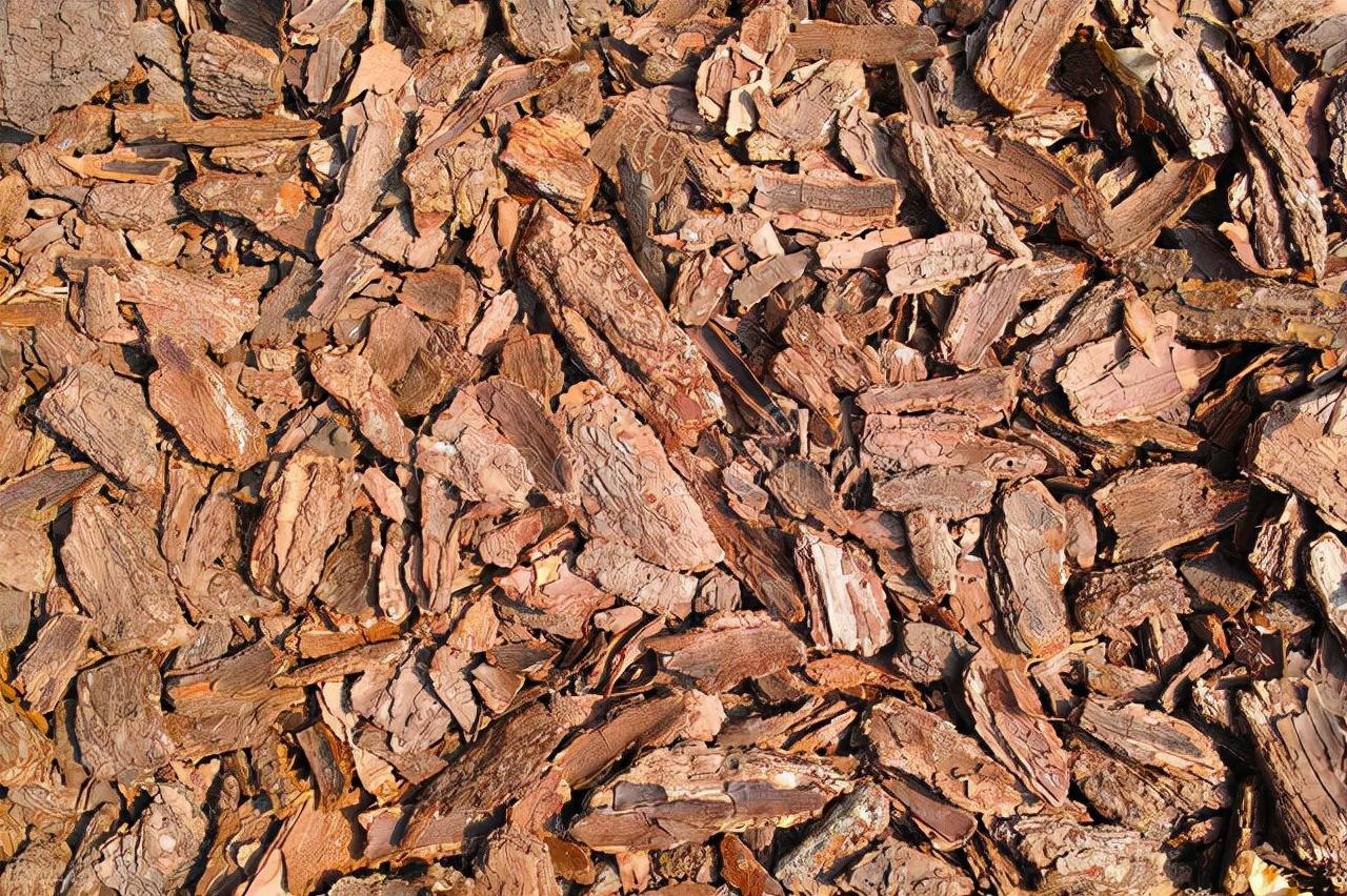 松树皮怎么发酵，在家自己用松树皮当肥料的方法