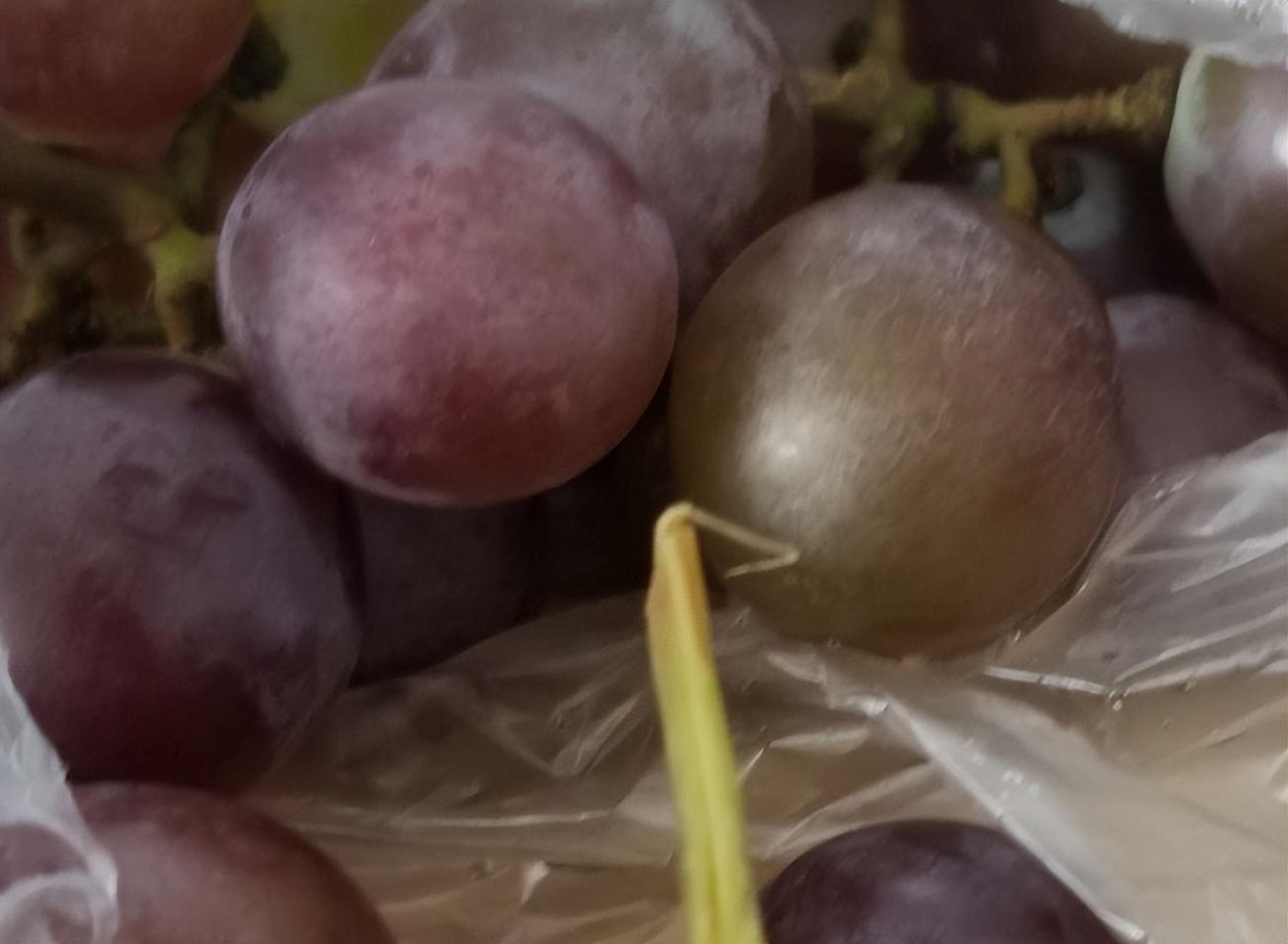 紫色的水果有哪些，都有哪些水果是紫色的呢