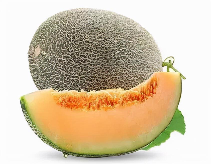 哈密瓜是热带水果吗，关于哈密瓜的介绍