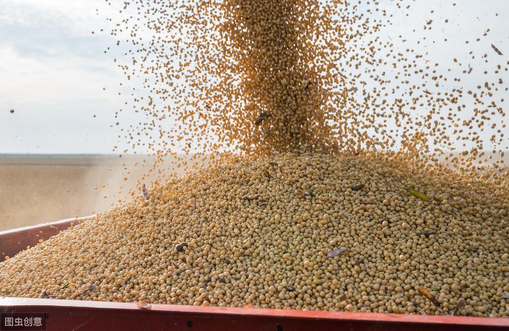 种黄豆一亩纯利润多少，种黄豆的成本比例