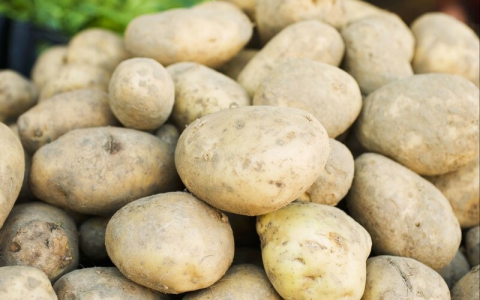 土豆产地在哪里，国内哪里盛产土豆