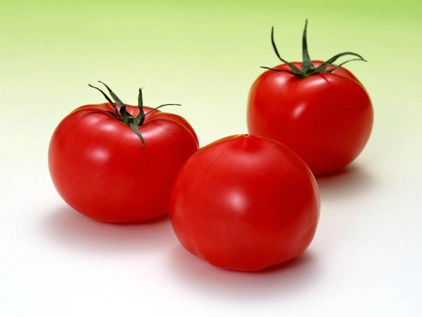 西红柿的由来，了解西红柿的发展史