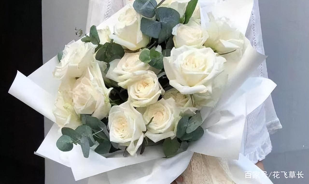 送白玫瑰代表什么意思，白玫瑰的花语和寓意