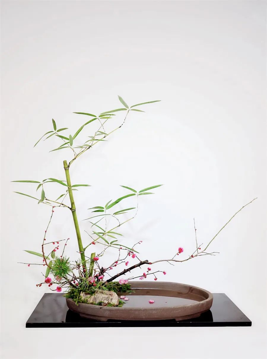 中国传统插花艺术文化简介，盘点插花的文化发展