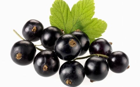 为什么葡萄要叫黑加仑，黑加仑和葡萄干一样吗