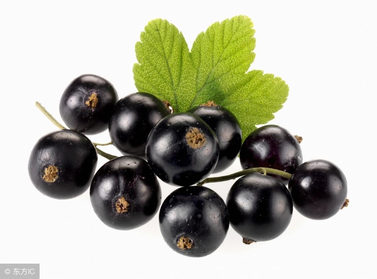 为什么葡萄要叫黑加仑，黑加仑和葡萄干一样吗