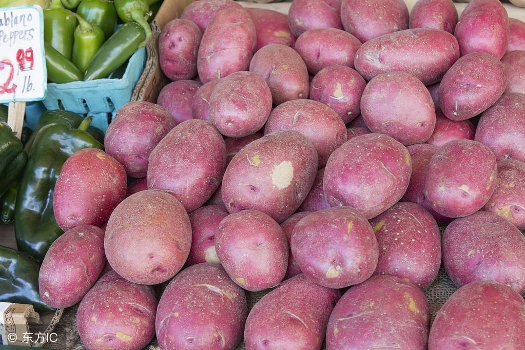 红土豆和普通土豆有什么区别，红土豆的介绍