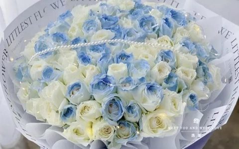 碎冰蓝玫瑰适合送什么人？白色渐变玫瑰代表的意义