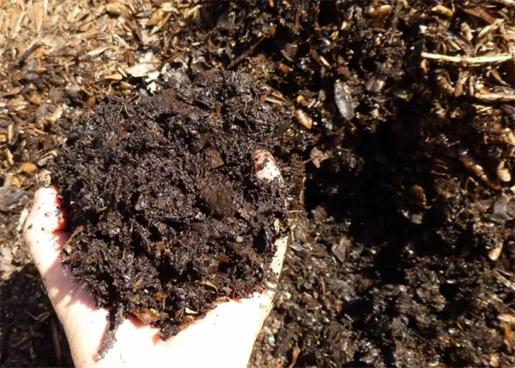 泥炭土的自制方法，泥炭土的培土比例
