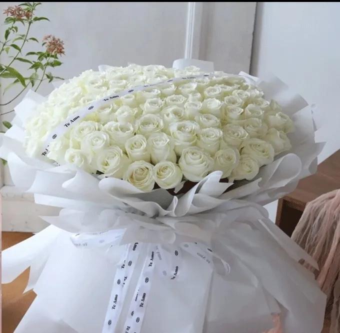 送白玫瑰代表什么意思，白玫瑰的花语和寓意介绍