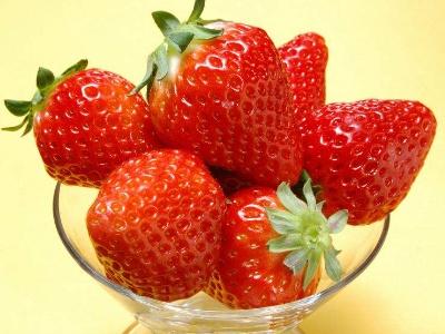 草莓怎么种（草莓的种植方法与技巧分享）