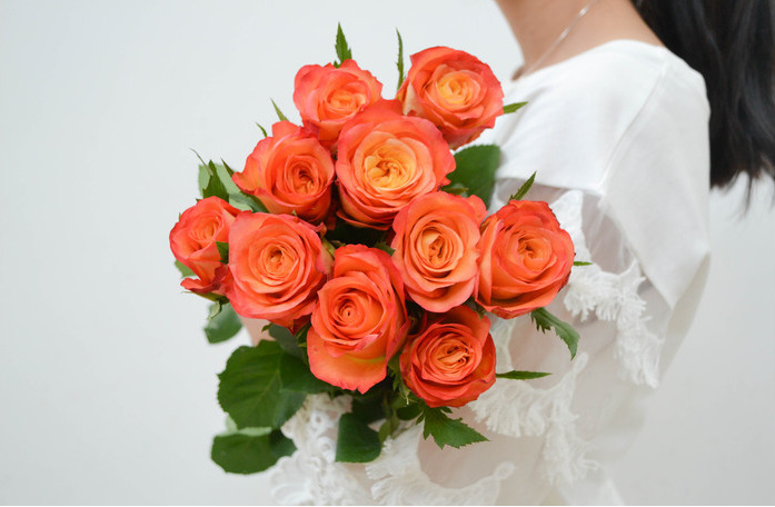 橙色玫瑰叫什么品种，橘色玫瑰的名称及图片