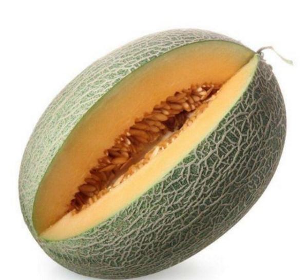 介绍新疆哈密瓜,中国哈密瓜哪些品种比较甜