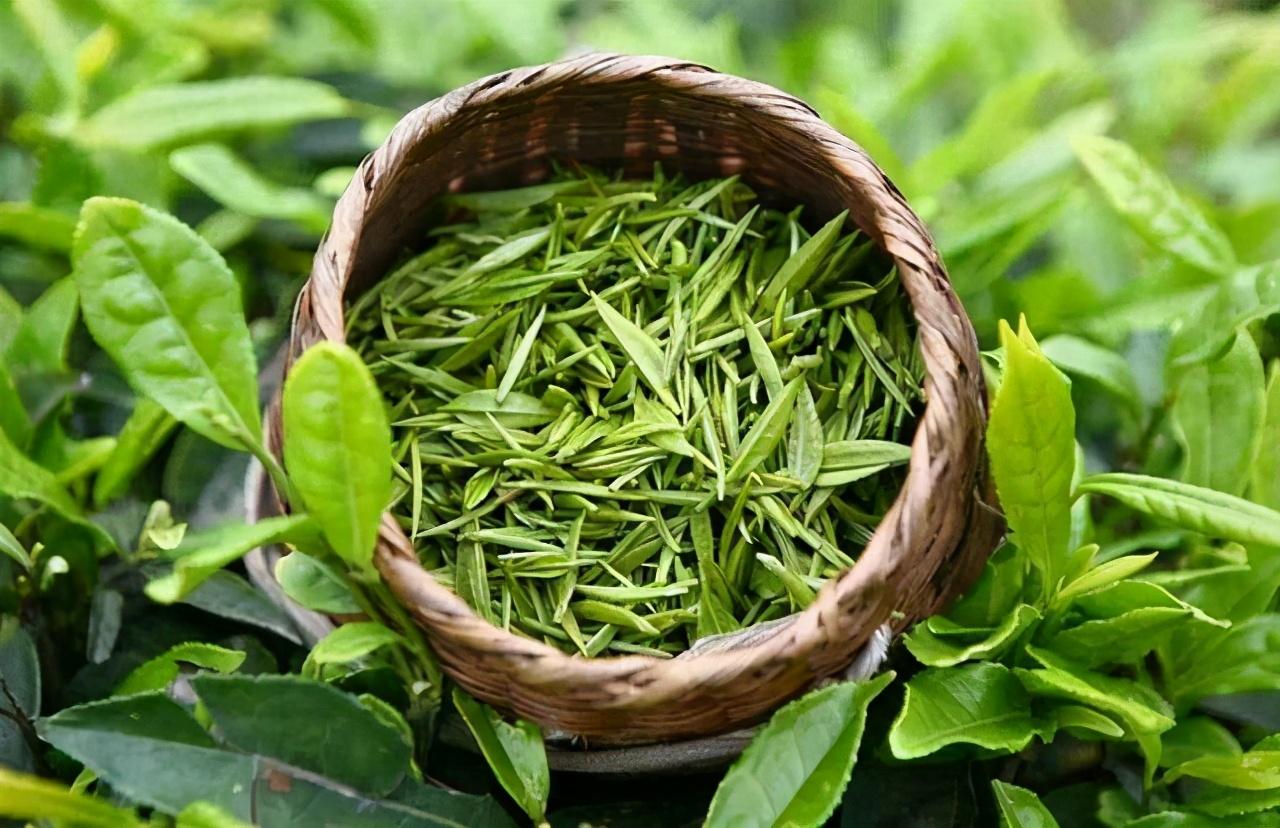 茶叶的种类有哪些，常见茶叶品种介绍