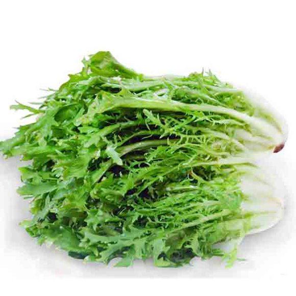 绿色叶菜类蔬菜大全，常见的绿叶植物介绍