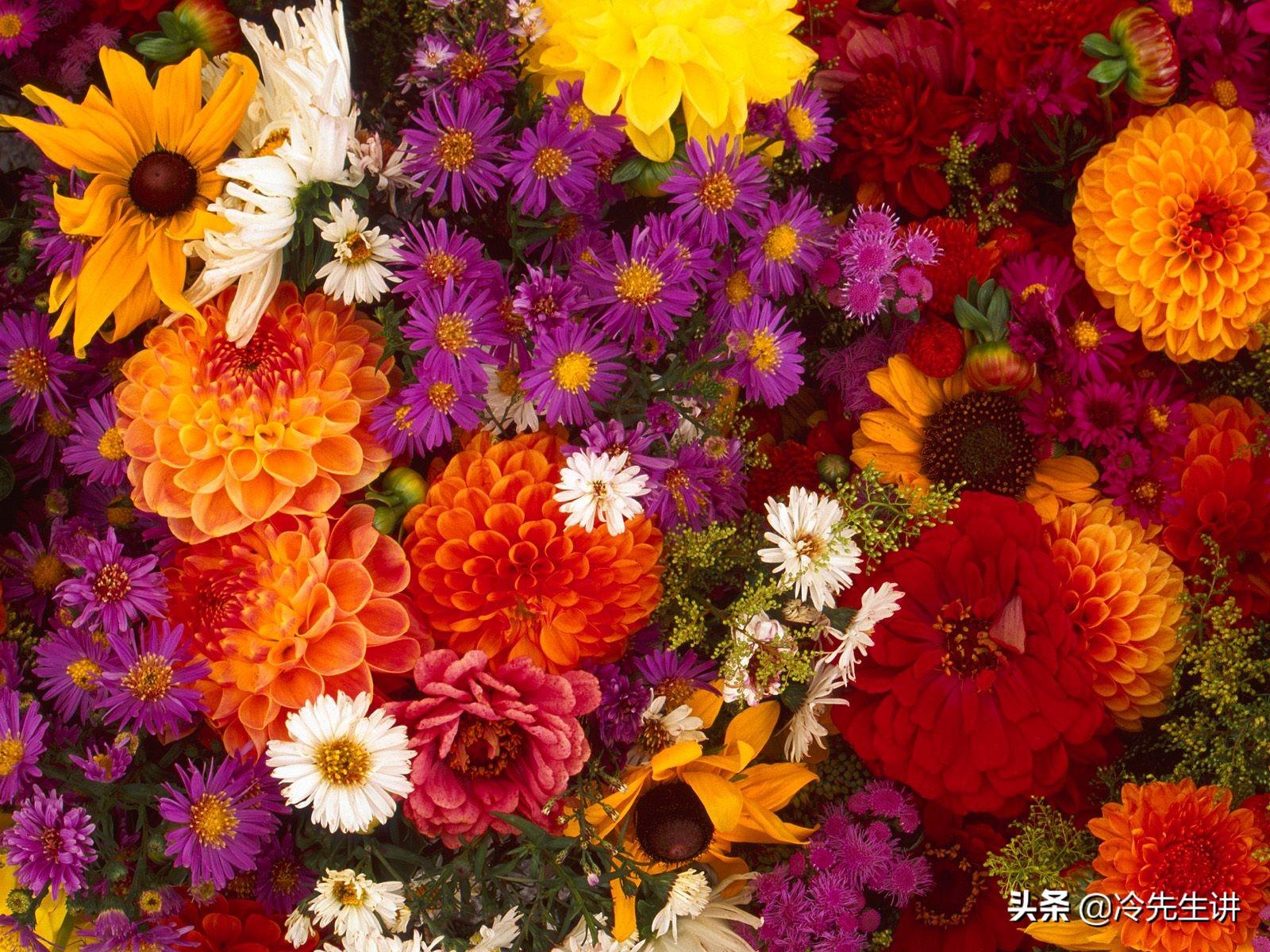 送花一般送几朵，不同支数的鲜花代表的含义