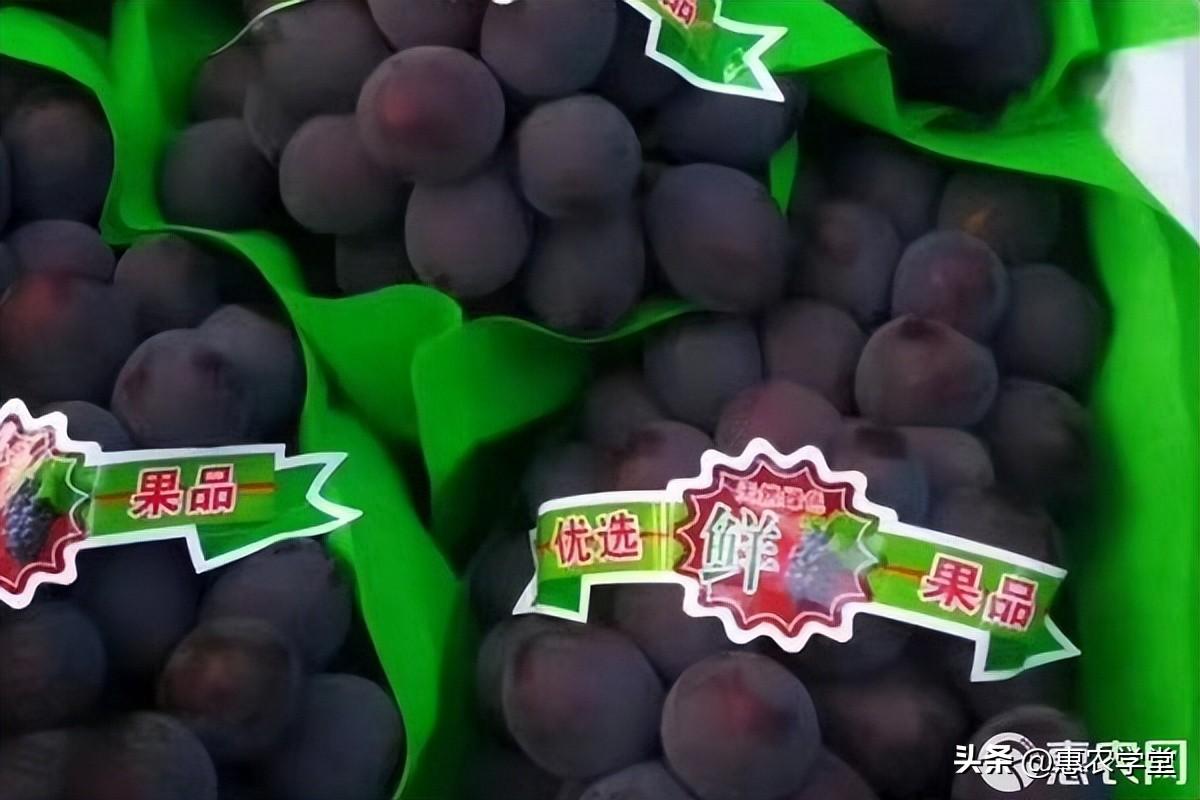 夏黑葡萄几月份成熟，夏黑葡萄在什么季节上市