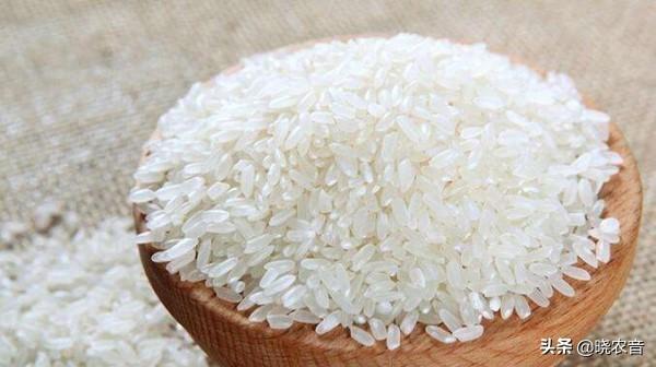 粳米是糯米吗，粳米是什么米