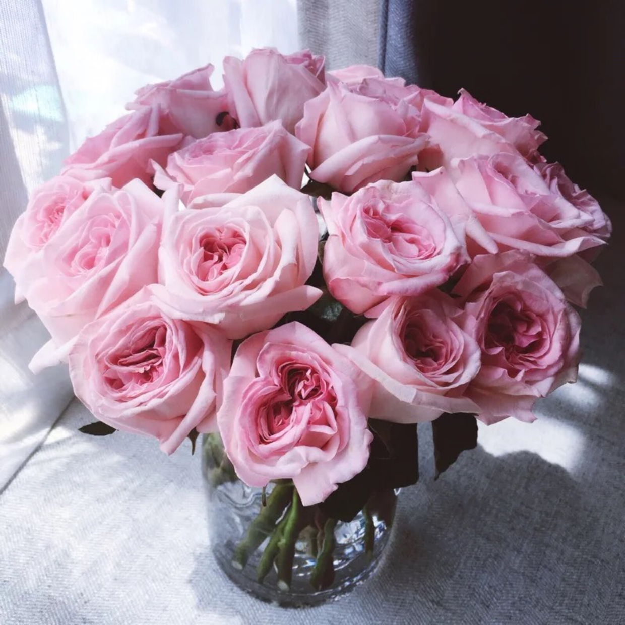 玫瑰种类名称及花语，常见的玫瑰花品种都有哪些