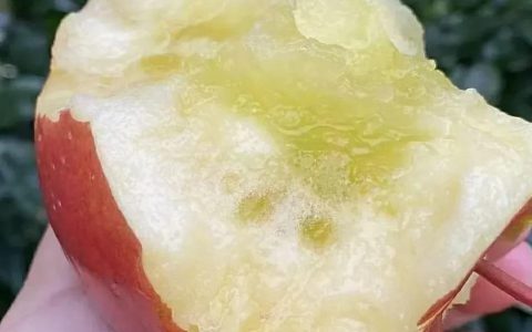 阿克苏苹果几月份最好吃，阿克苏苹果什么时候成熟上市