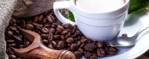 咖啡渣的用途有哪些，咖啡渣适合养什么花
