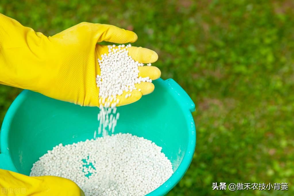 铵态氮肥有哪些，什么叫氨态氮肥