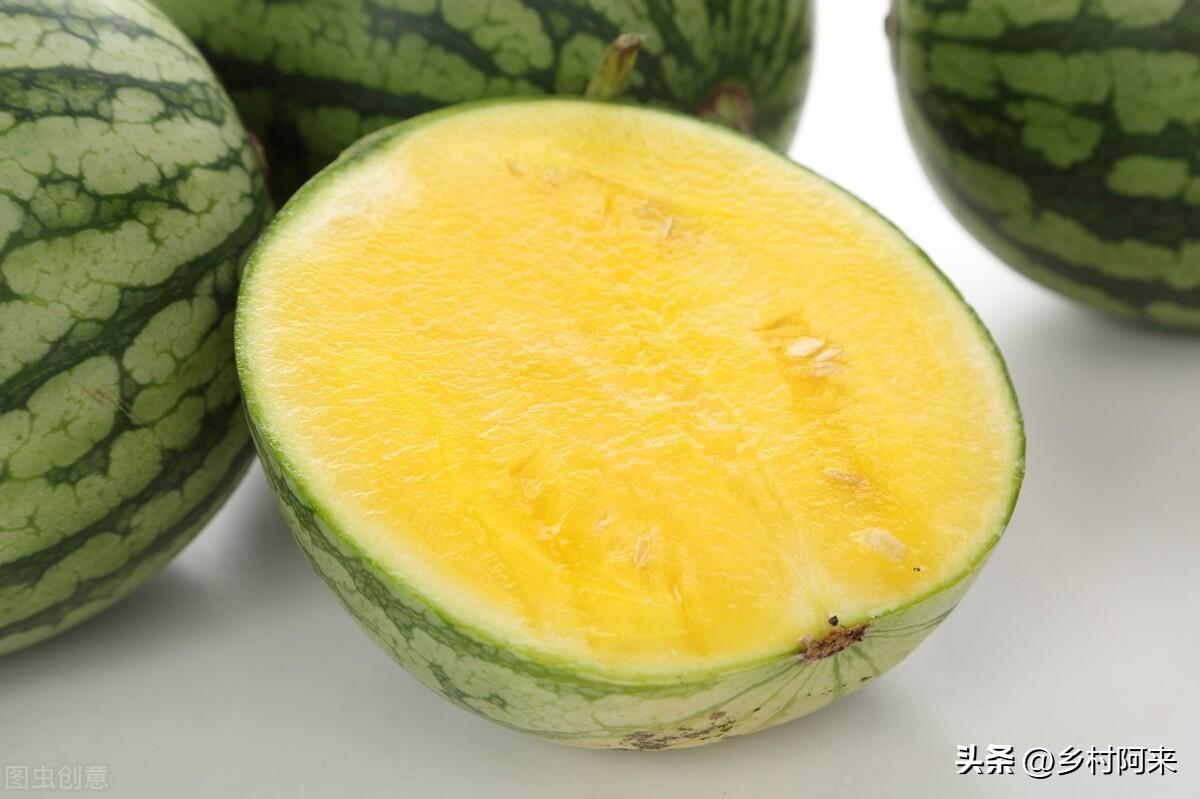 甘美西瓜产地，常见的几个西瓜品种