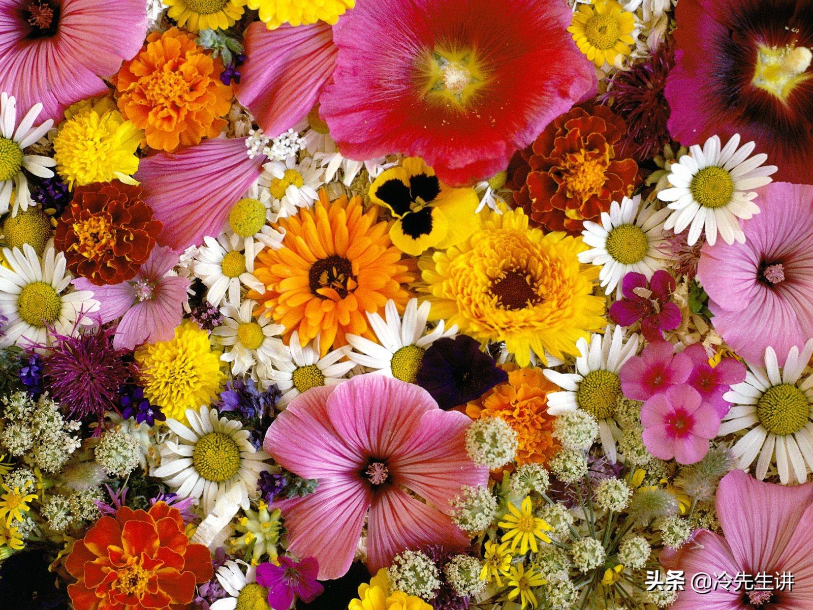 送花一般送几朵，不同支数的鲜花代表的含义