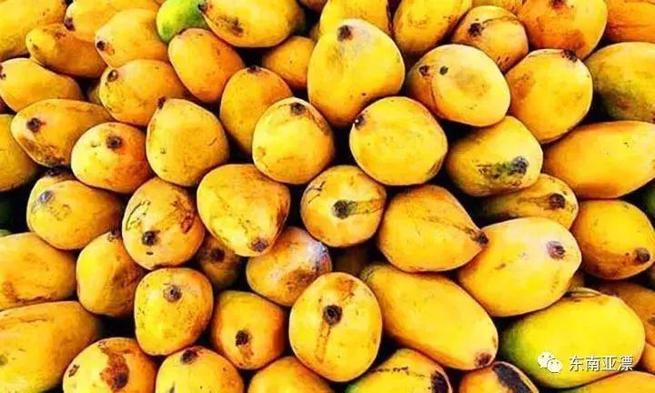 越南水果都有哪些，什么水果是越南比较有代表性的呢