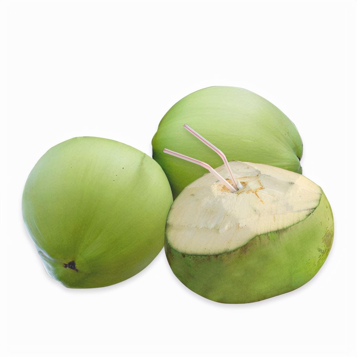 椰子品种有哪些，海南常见的几种椰子