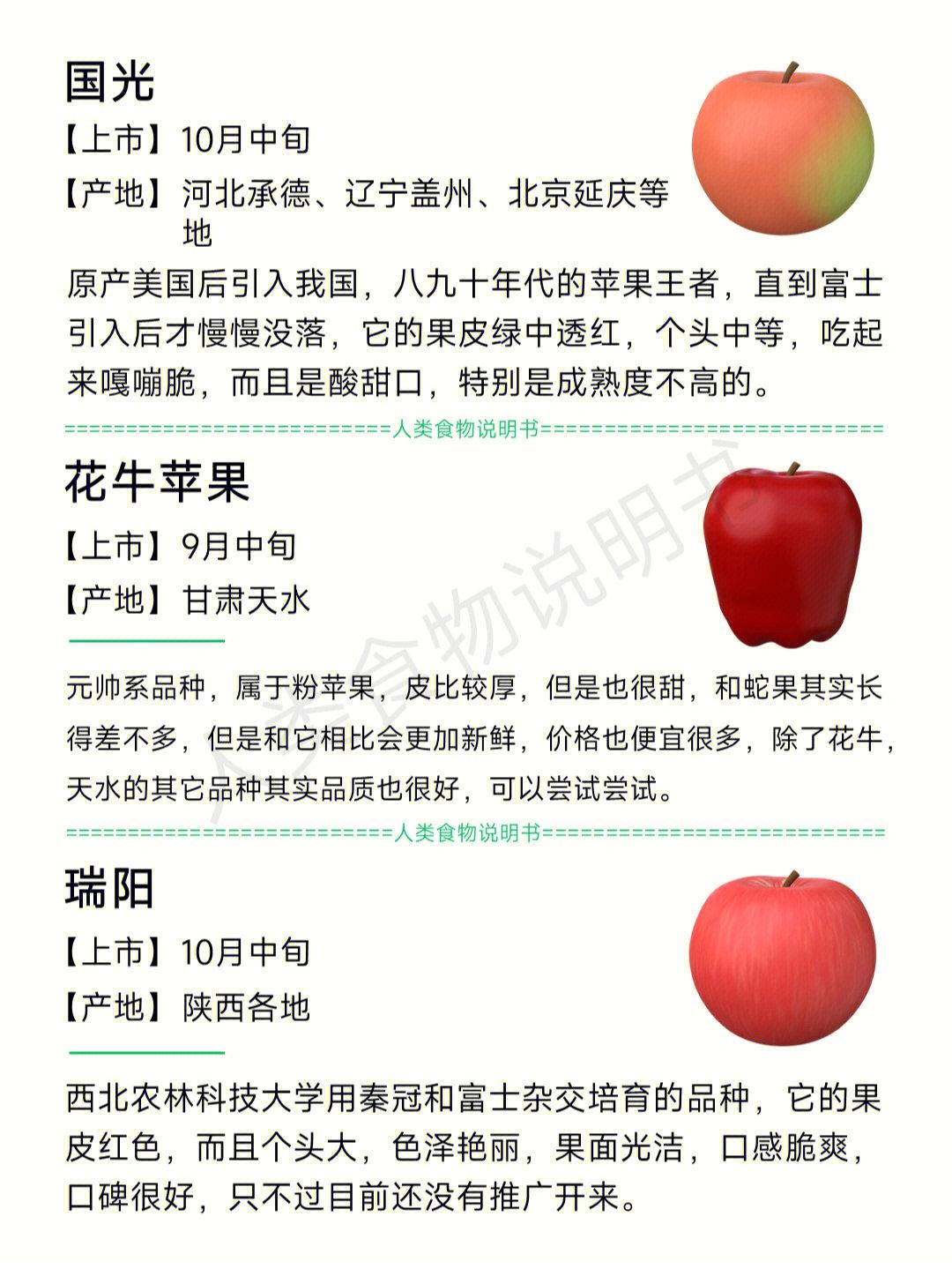 苹果品种大全图片名字，苹果的各个种类介绍