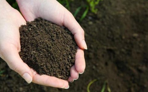 旧土怎么弄成营养土，死土变活土加什么肥