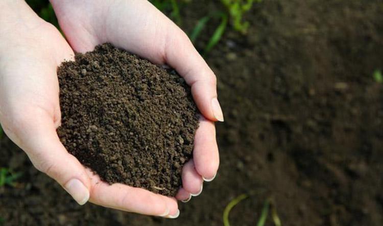 旧土怎么弄成营养土，死土变活土加什么肥