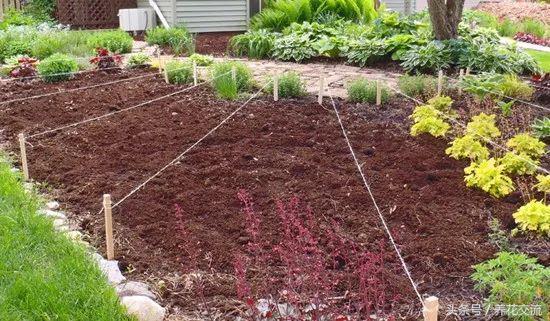 怎么自制养花肥料？9种实用自制肥料的方法分享