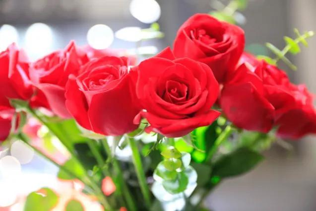 红玫瑰花语象征与寓意，了解红玫瑰是什么意思