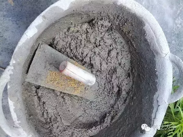水泥花盆制作方法，教你如何简单的自制花盆