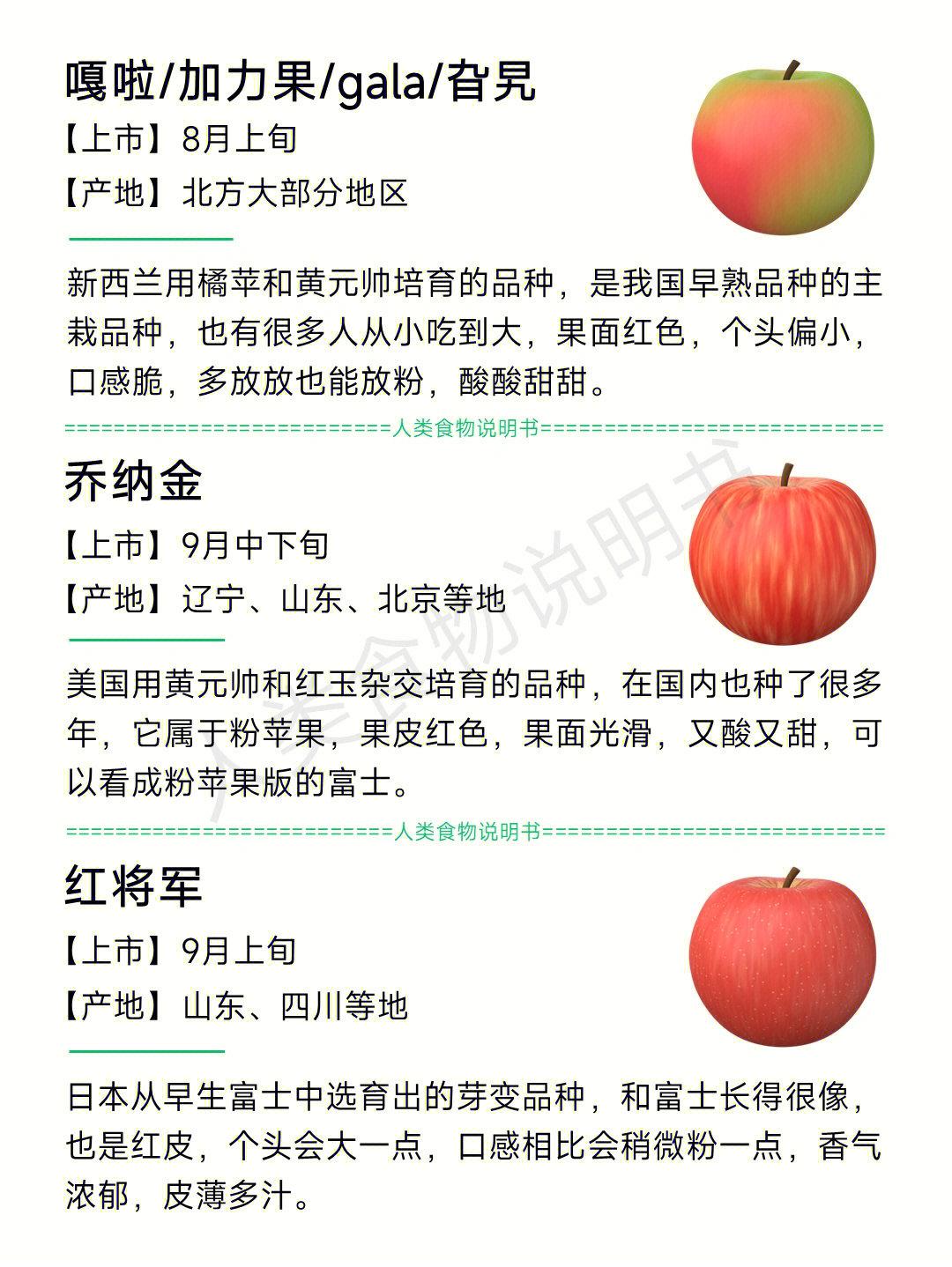 苹果品种大全图片名字，苹果的各个种类介绍