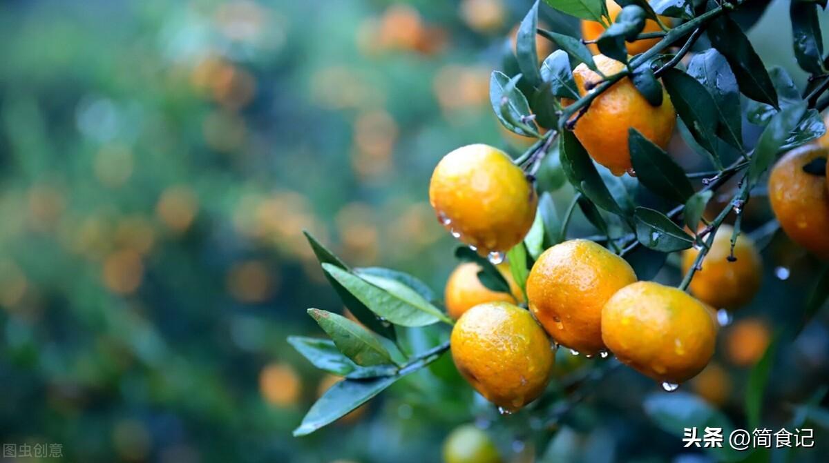 砂糖橘产自于哪里，什么地方盛产砂糖橘