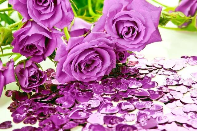 送花给女朋友最浪漫的花，花语代表浪漫的有哪些