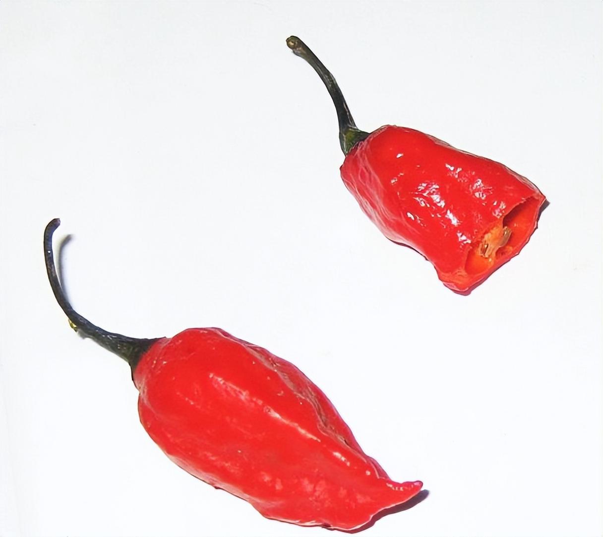 辣椒的辣度排名，世界十大最辣的辣椒介绍