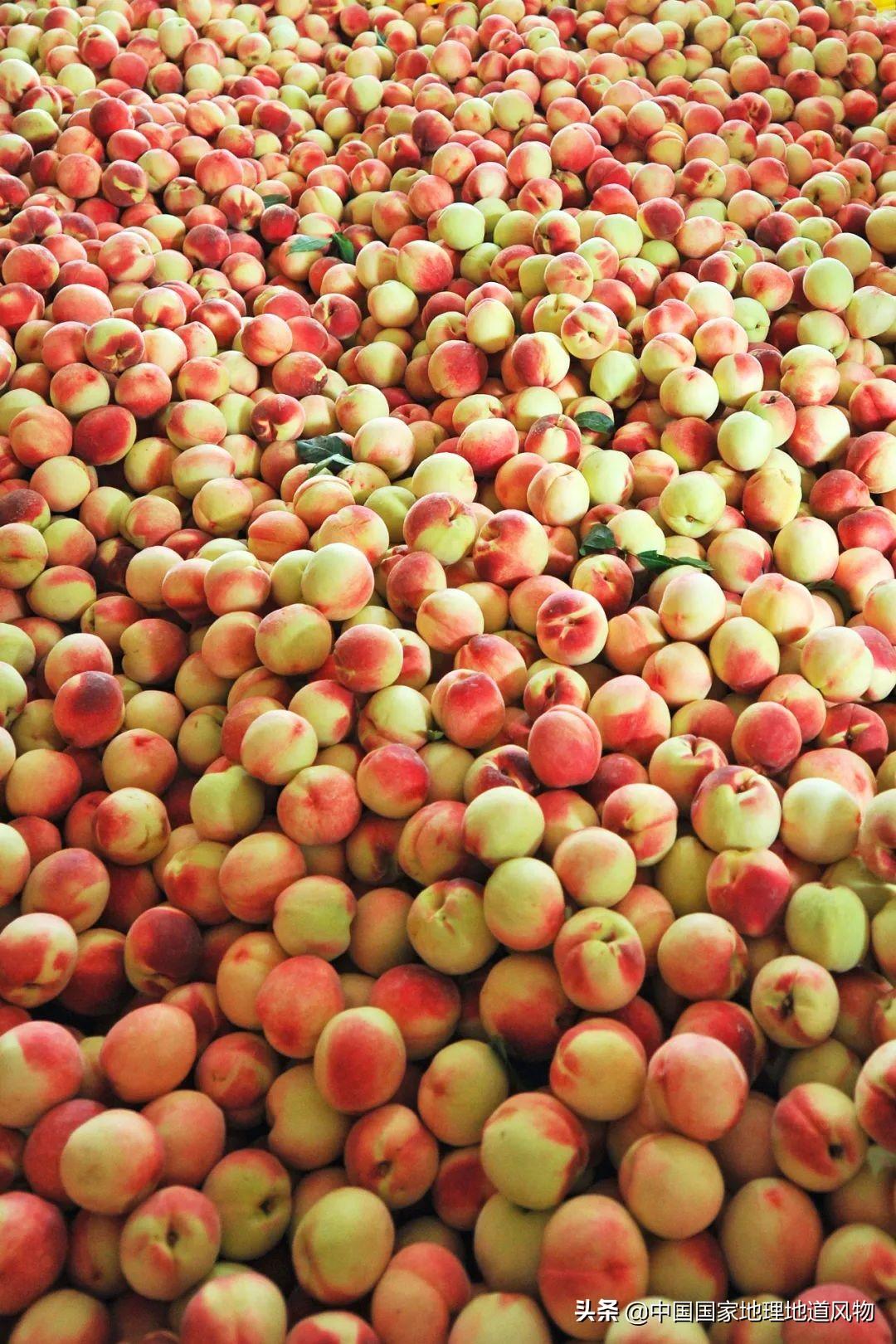 油桃产地都是在哪里，国内油桃的生长地区分布情况