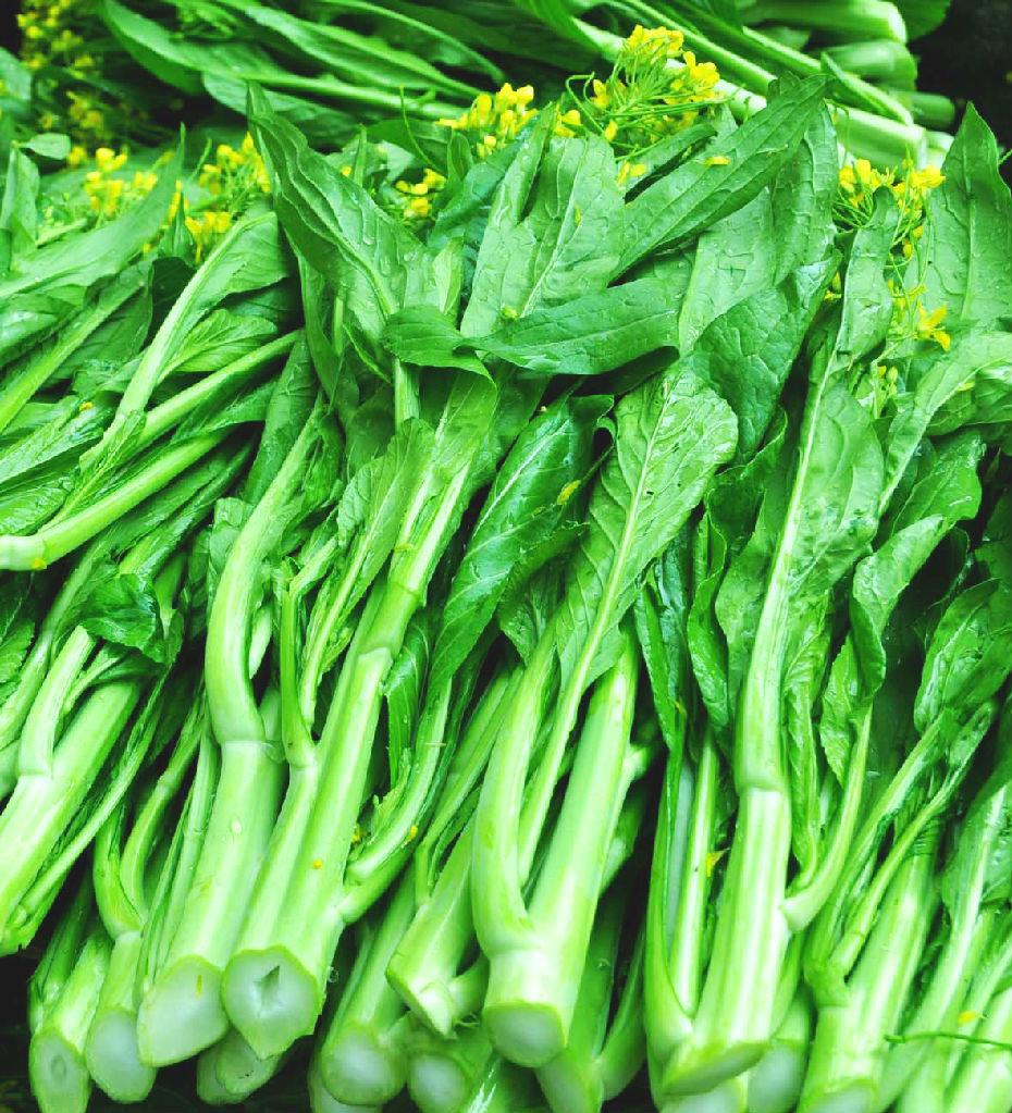绿色叶菜类蔬菜大全，常见的绿叶植物介绍