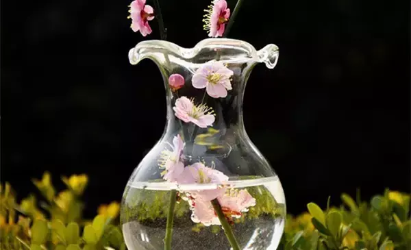 鲜花插在水里怎样可以保鲜时间长，鲜花保存才能扔鲜花不枯萎