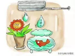 空调水能不能浇花？ 空调排水可以浇花吗