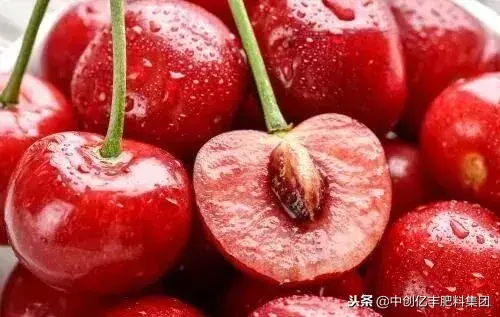 樱桃成熟的季节是几月，樱桃什么时候能吃