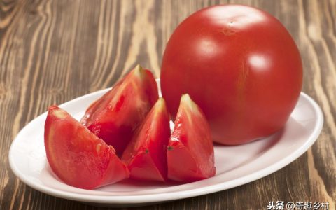 西红柿是水果还是蔬菜，西红柿算不算是水果