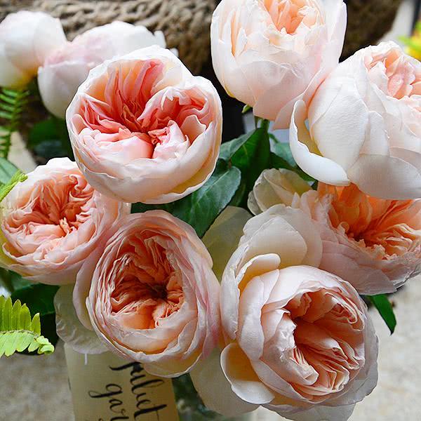 最贵的玫瑰花品种，高档的玫瑰花有哪些