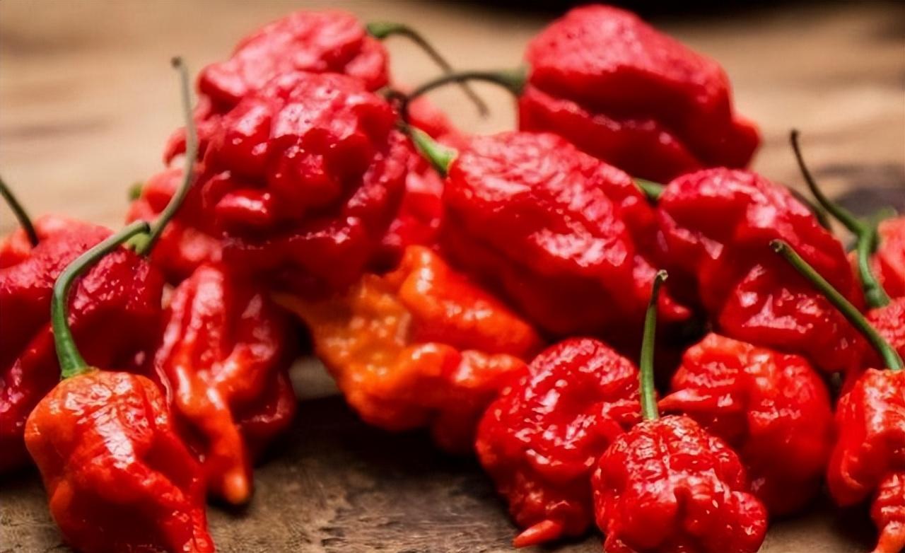 辣椒的辣度排名，世界十大最辣的辣椒介绍