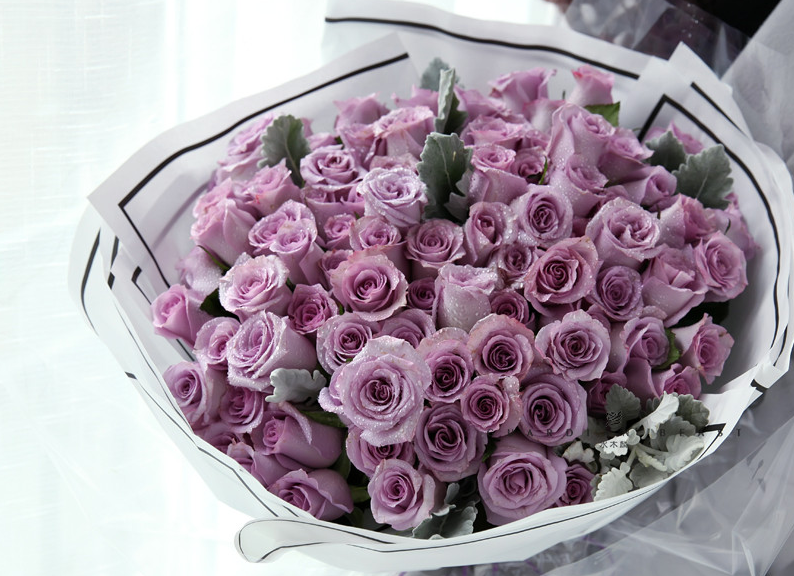 玫瑰种类名称及花语，常见的玫瑰花品种都有哪些